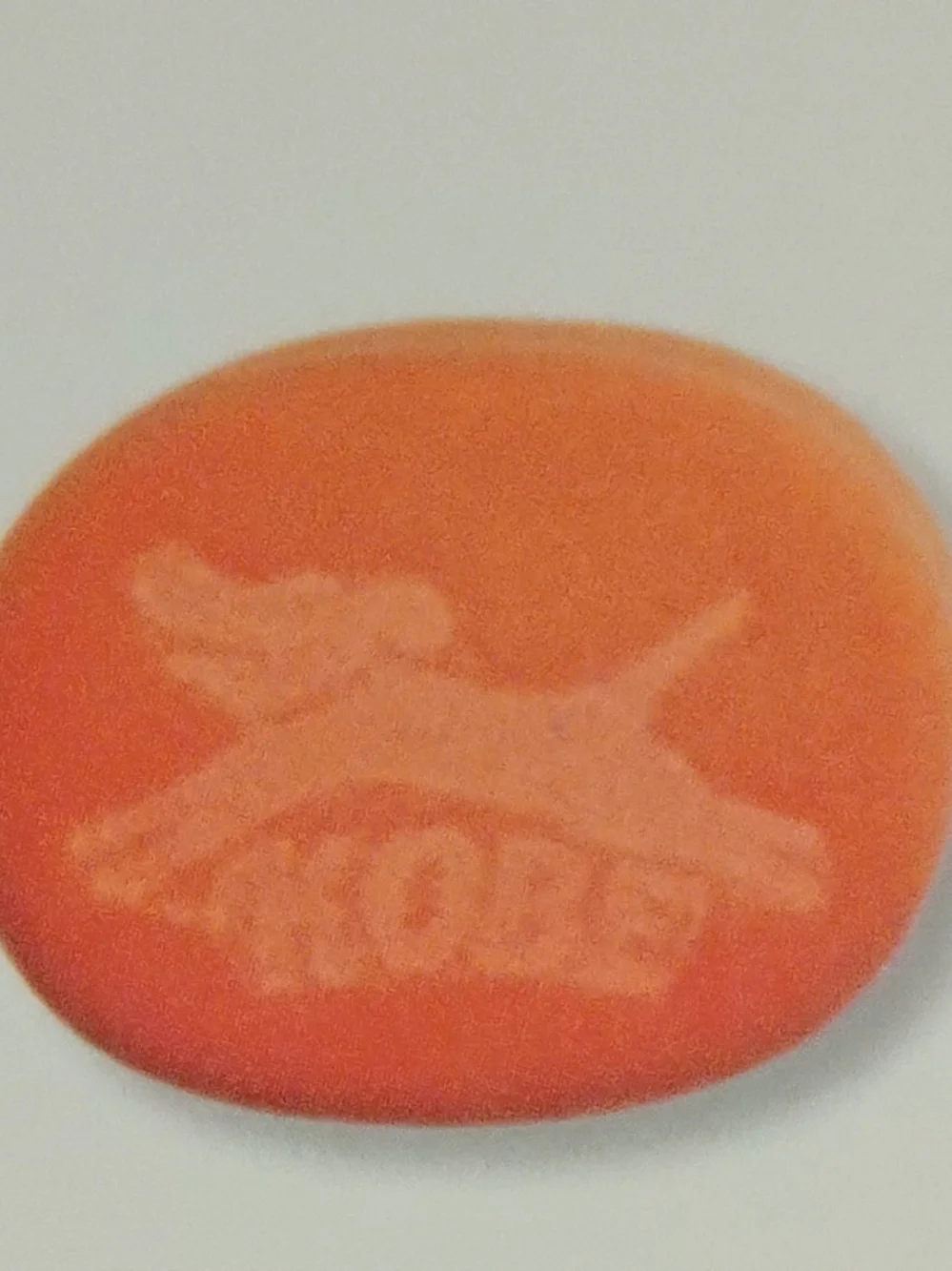 Kikkerland x Kobe Dog Bath Kit